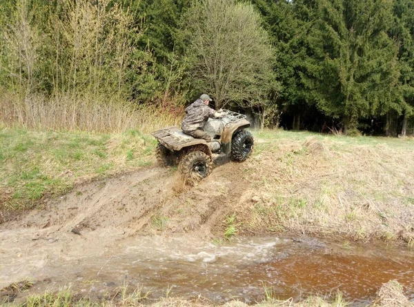 image-5